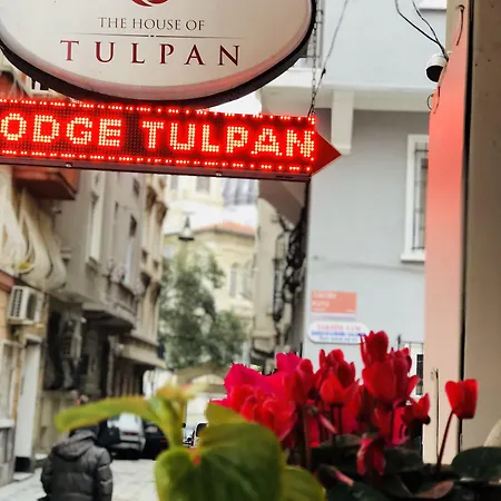 Hotel The House Of Tulpan Provincia di Istanbul