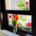 The House Of Tulpan 3* Istanbul