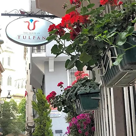 The House Of Tulpan Hotel 3*