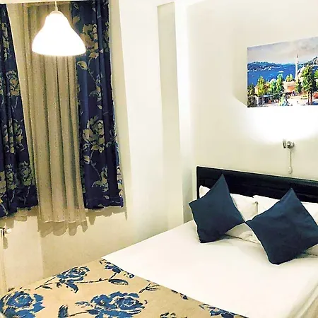Hotel The House Of Tulpan