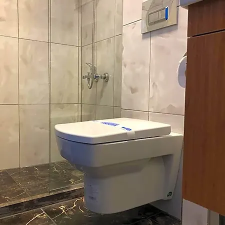Hotel The House Of Tulpan 3*