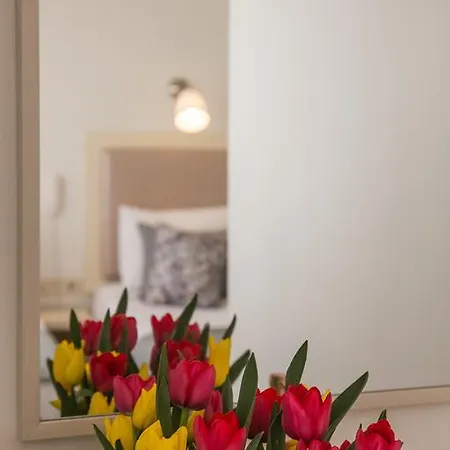 Hotel The House Of Tulpan Estambul