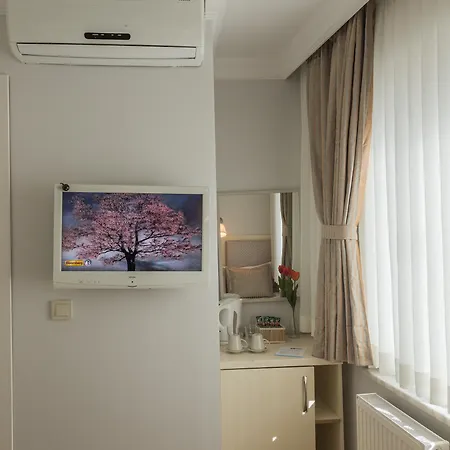 Otel The House Of Tulpan 3*