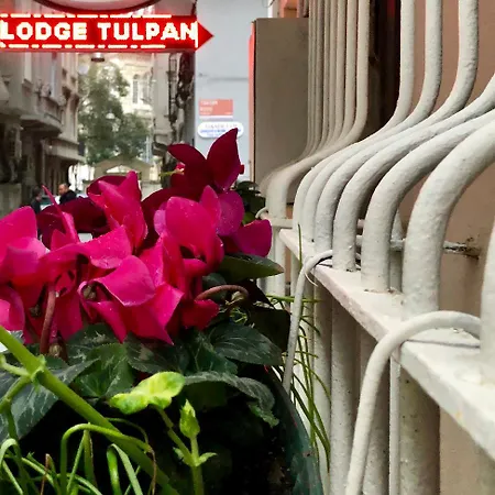 The House Of Tulpan Otel
