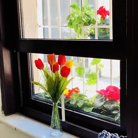 The House Of Tulpan 3* Stambuł