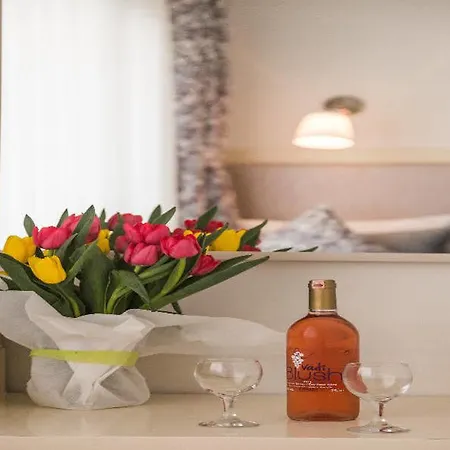 Hotel The House Of Tulpan Stambuł