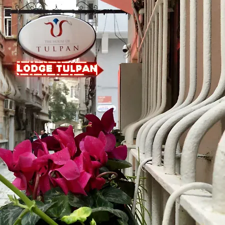 The House Of Tulpan מלון